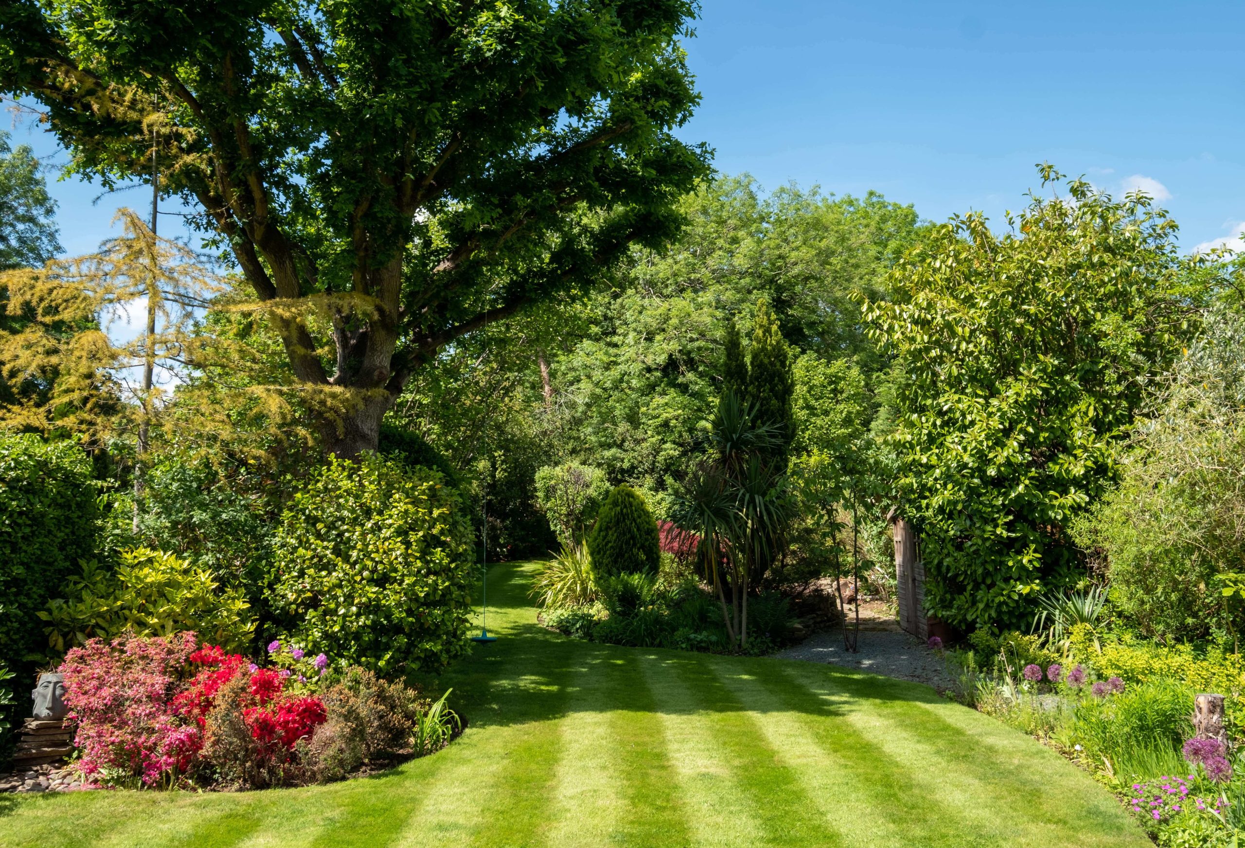 Garden Gardeners Stockwell SW9/SW8