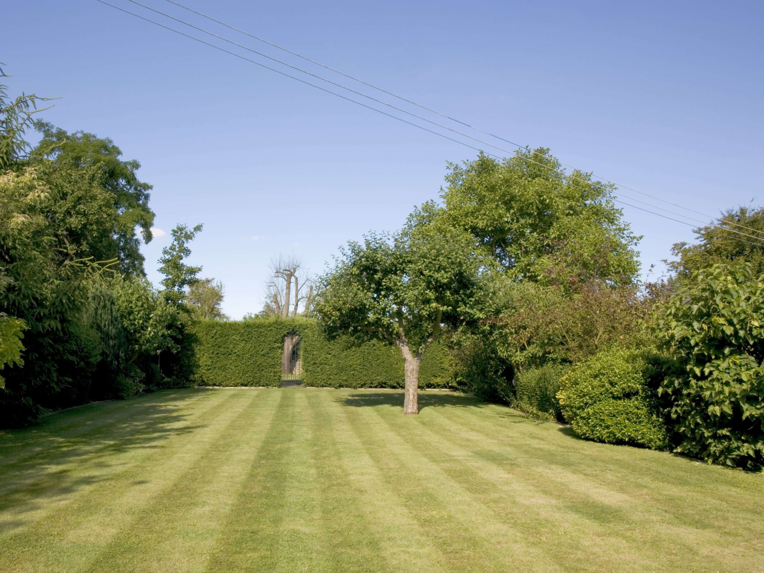 Lawn Mowing/Hedge Trimming Stockwell SW9/SW8