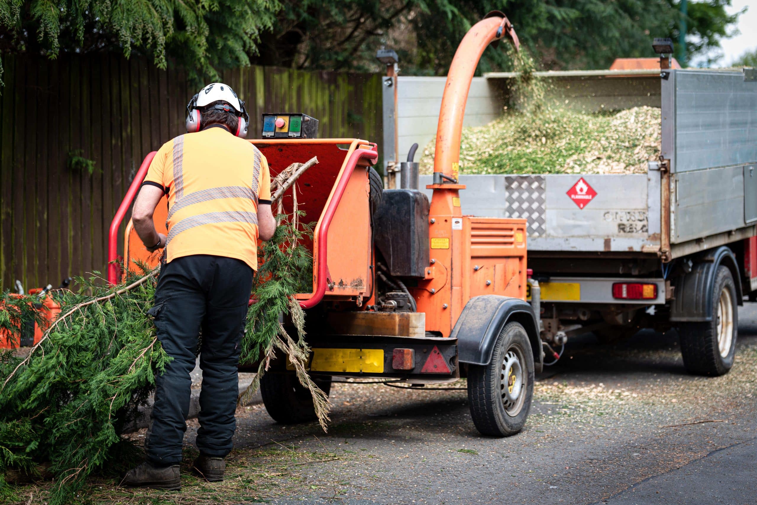 Tree Stump Grinding/Removal Stockwell SW9/SW8